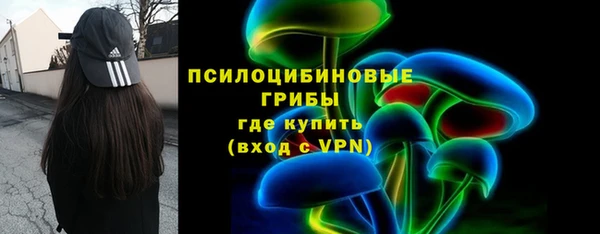 ПСИЛОЦИБИНОВЫЕ ГРИБЫ Абдулино