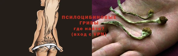 экстази Абаза
